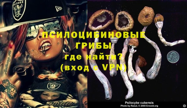 дмт Михайловка