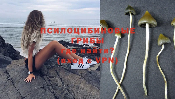 ECSTASY Михайлов