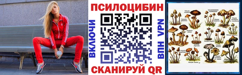 Псилоцибиновые грибы GOLDEN TEACHER  Шилка 